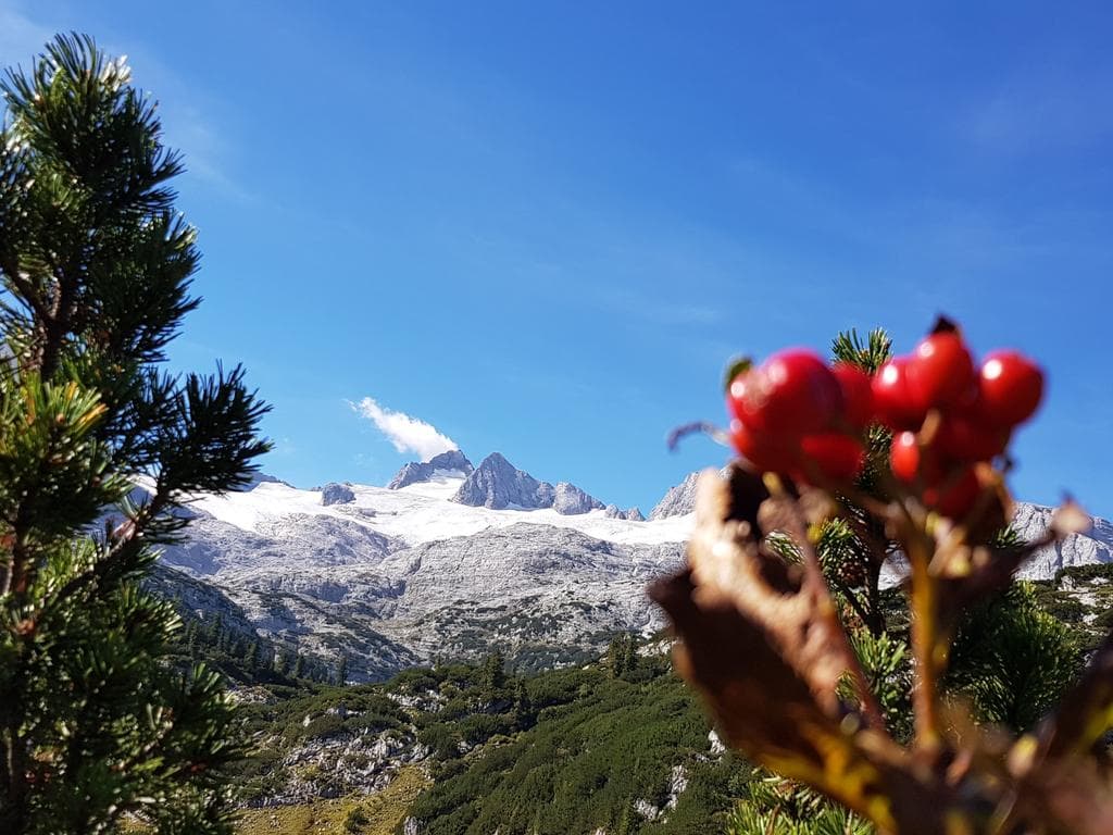 NATURSCHAUSPIEL Faszination Dachstein im Sommer