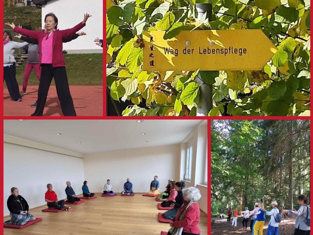 QiGong - Meditation - TaiJi Quan 24 Figuren