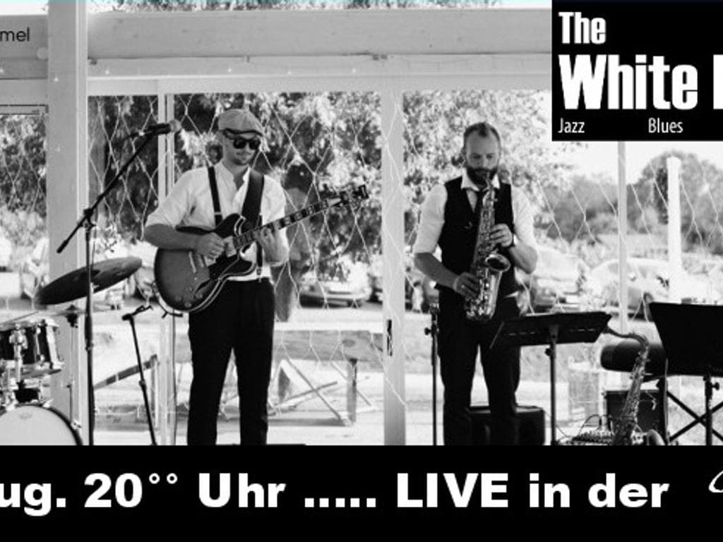 THE WHITE HATS, Live in der Gustobox
