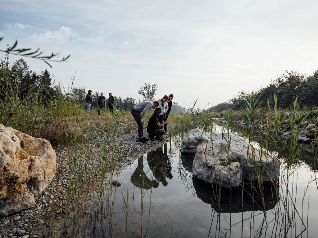 Naturschauspiel – Grenzgänger im Oktober