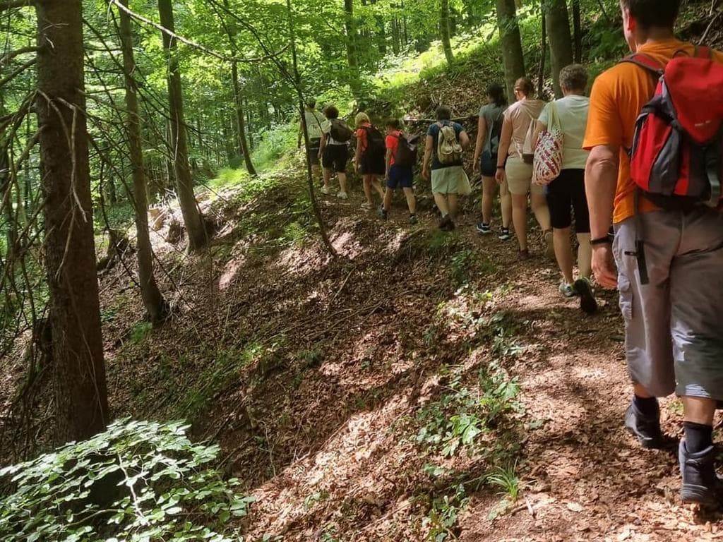 Frühsommer-Kraut & Wiesenduft - Kräuterwanderung