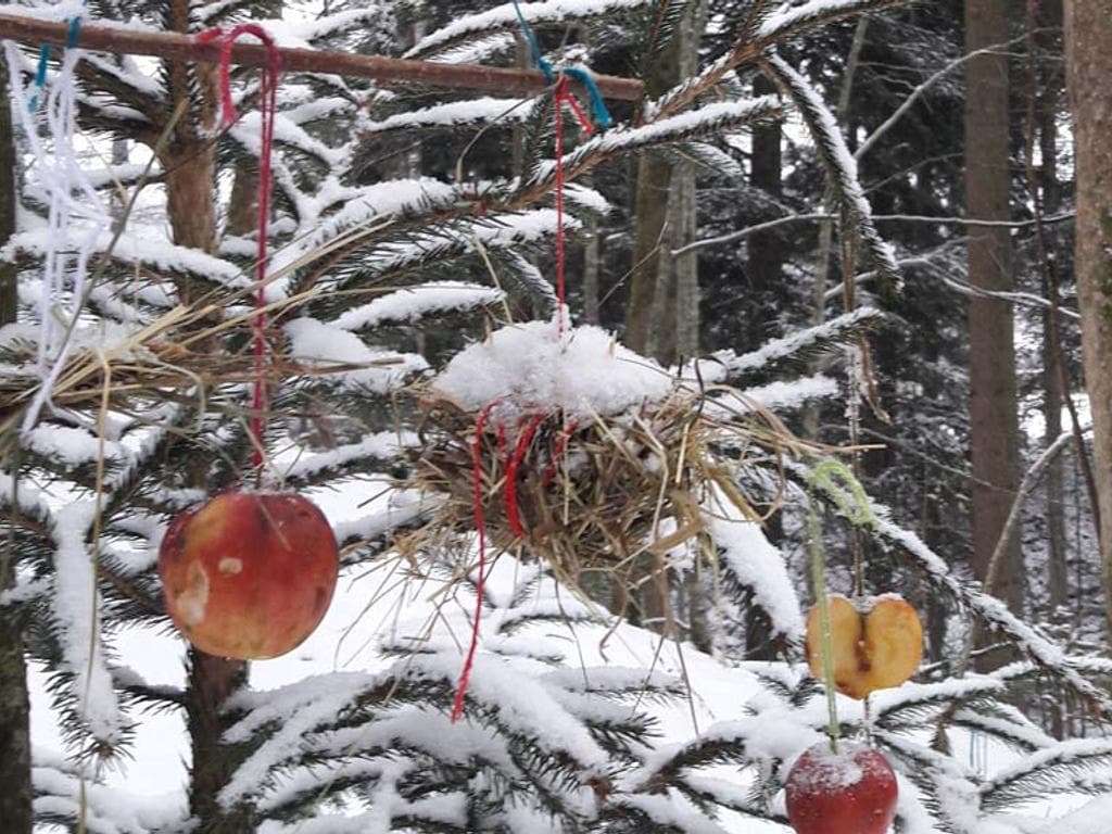 Waldweihnacht - am Bio.Erlebnis.Hof Bruckbacher