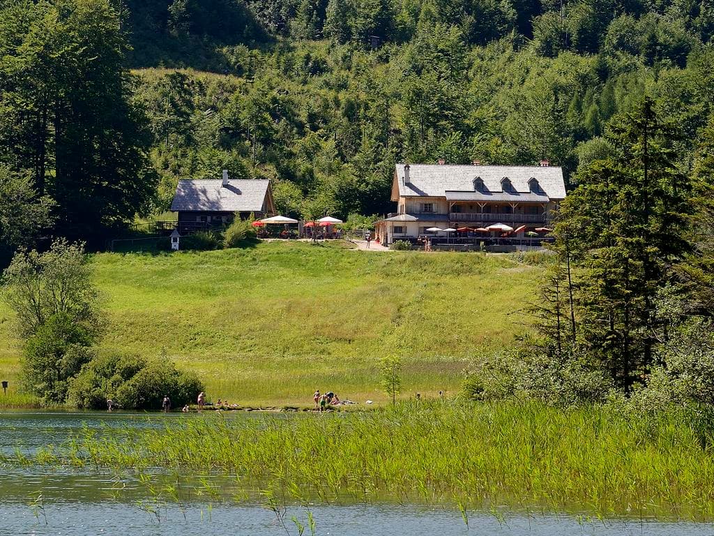 Ramsaualm am Laudachsee