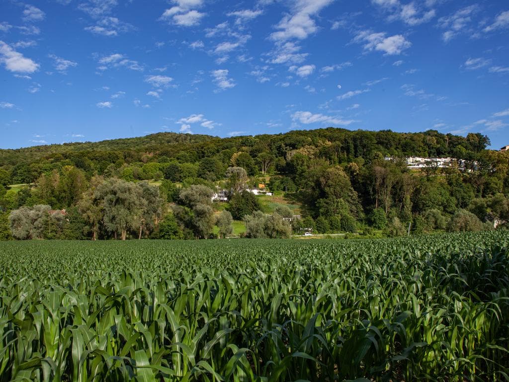 Hametner's Mostschank