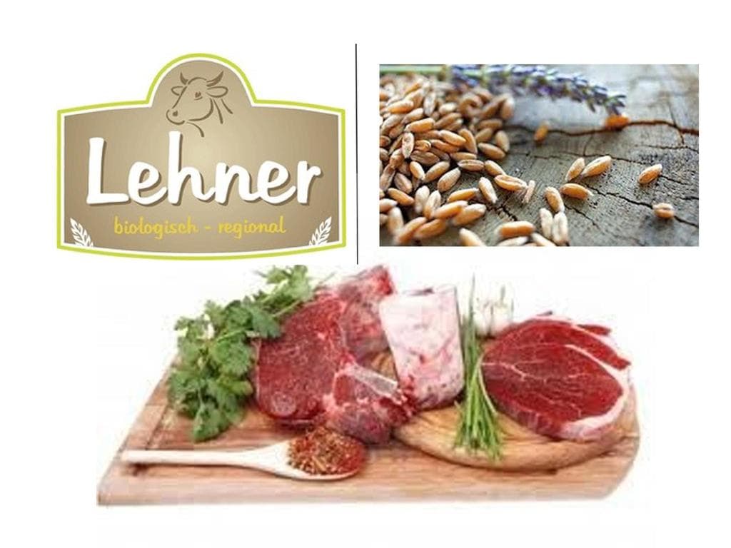 Biohof Lehner in Bad Wimsbach-Neydharting