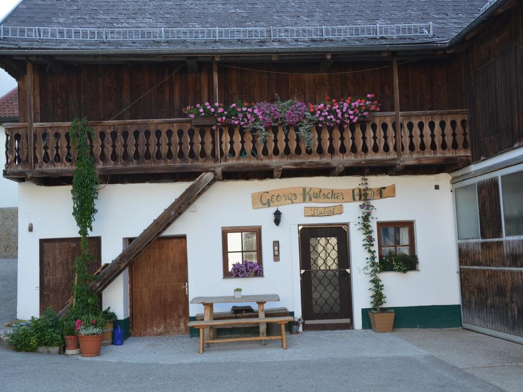 Pferderast Georgs Kutscher Hof