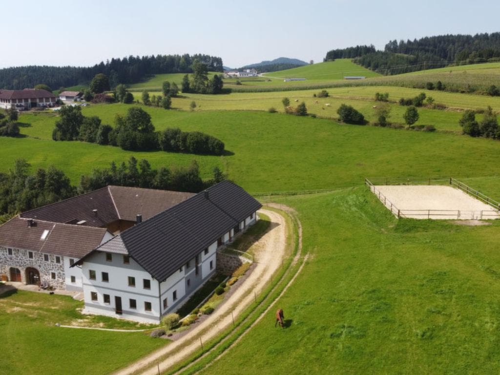 Pferderast Biohof Dörflinger