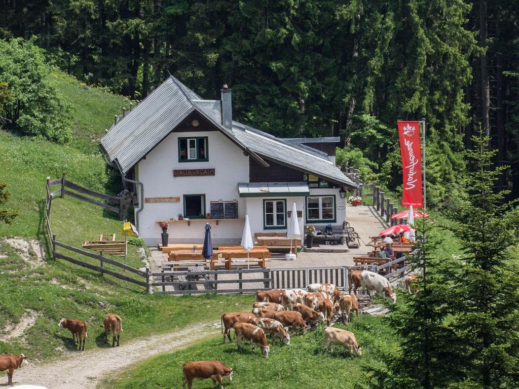 Naturfreunde Weyer Stallburgalm