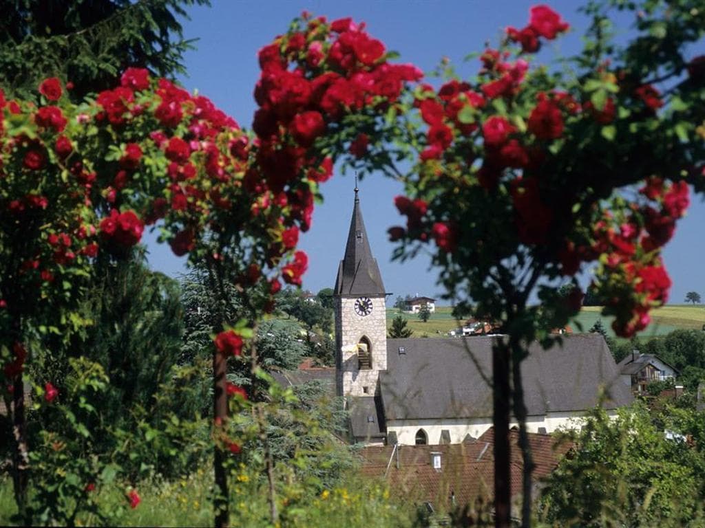 Gasthof-Pension Moshammer
