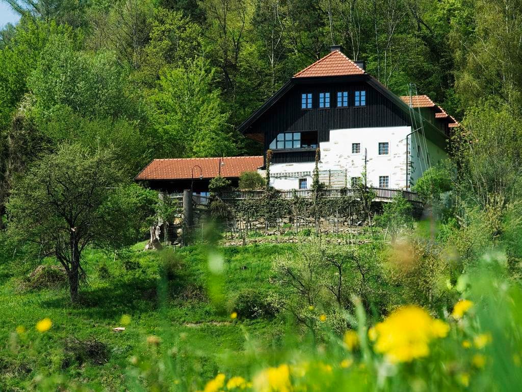Scherleiten