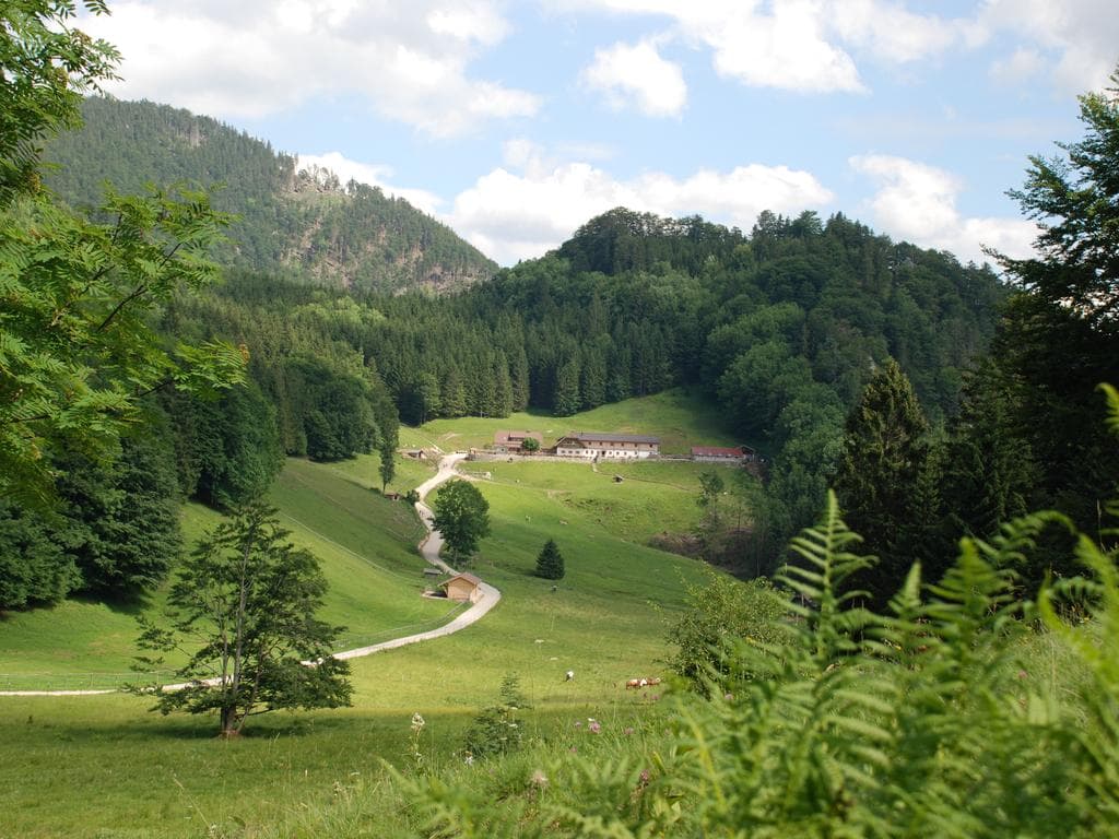 Almgasthof Hochsteinalm