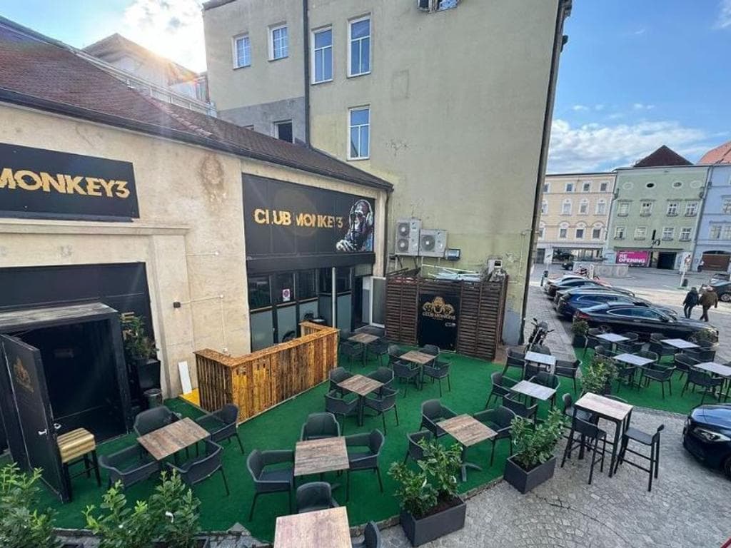 Club Monkey3