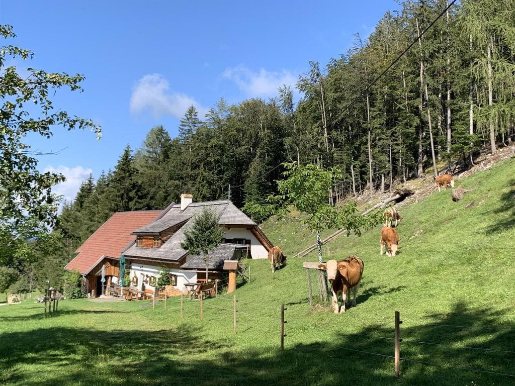 Bergerbauern-Reith