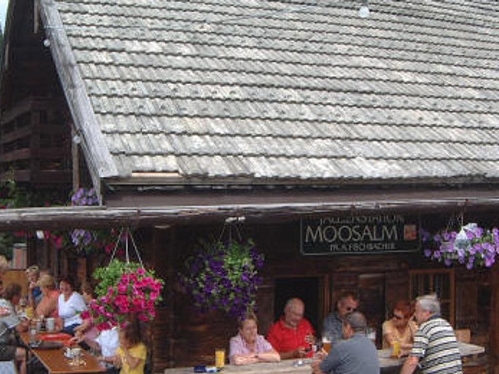 Moosalm