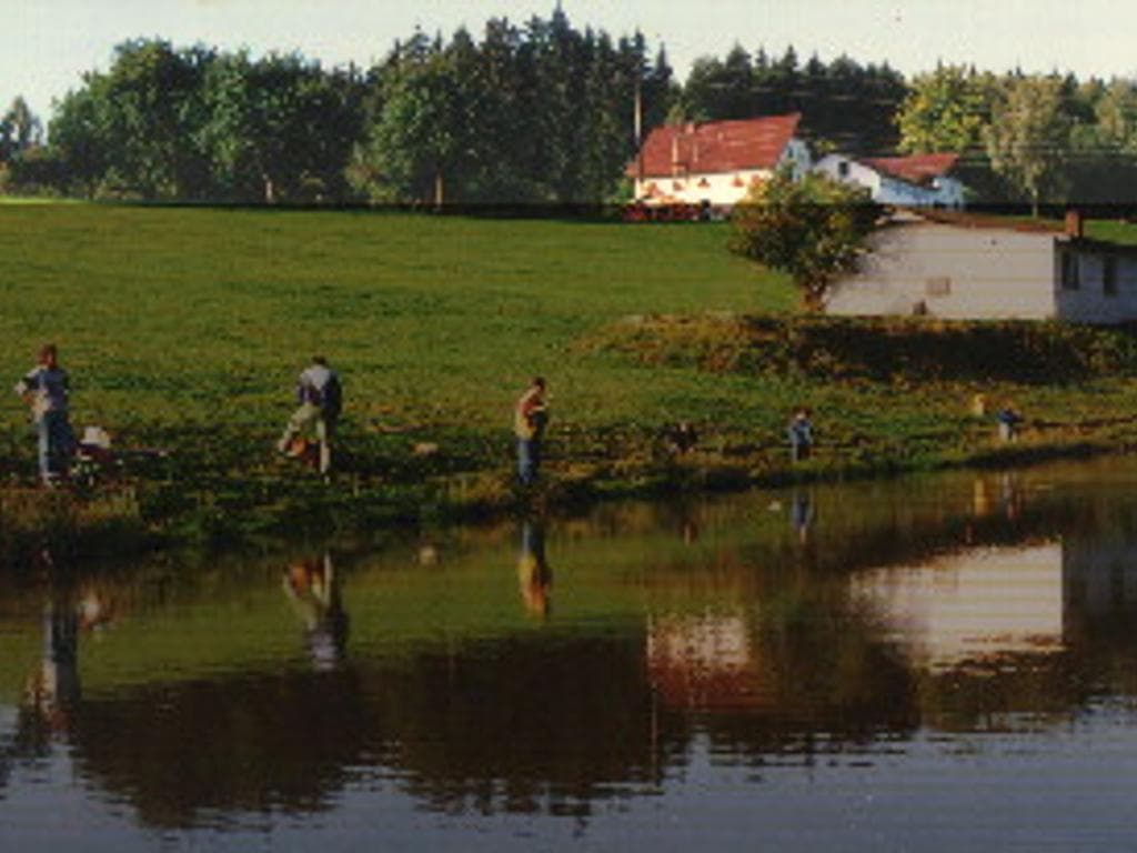 Jausenstation "Thomandl"