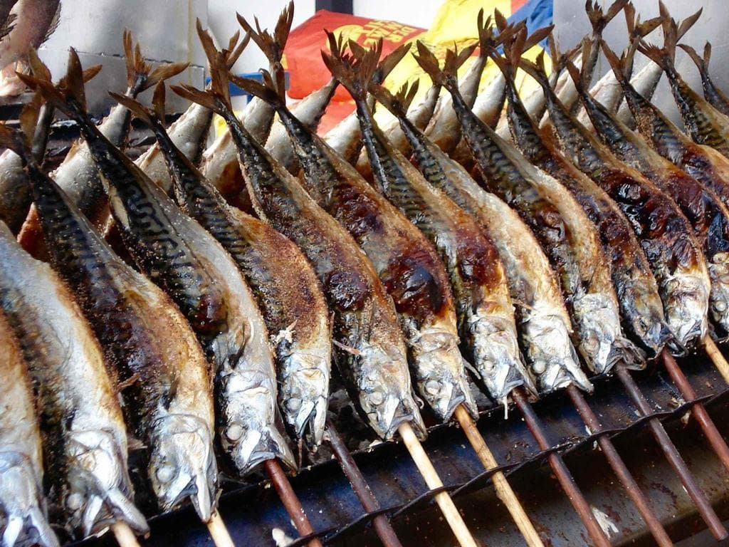 Grill Fisch Otto
