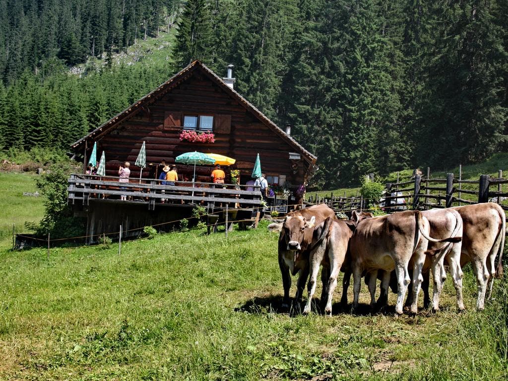 Iglmoosalm
