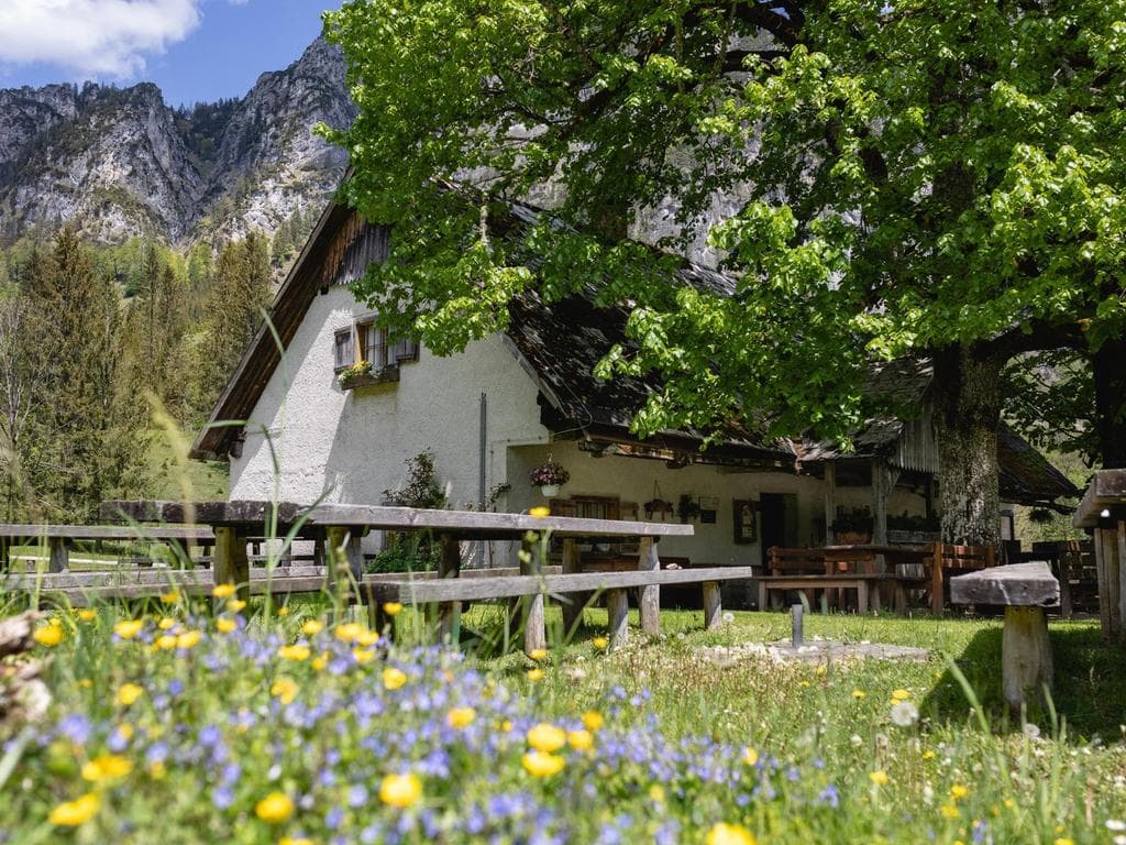 Laussabaueralm